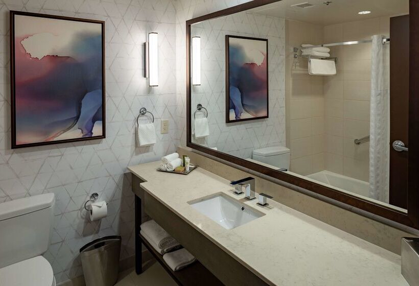 هتل Hilton Asheville Biltmore Park