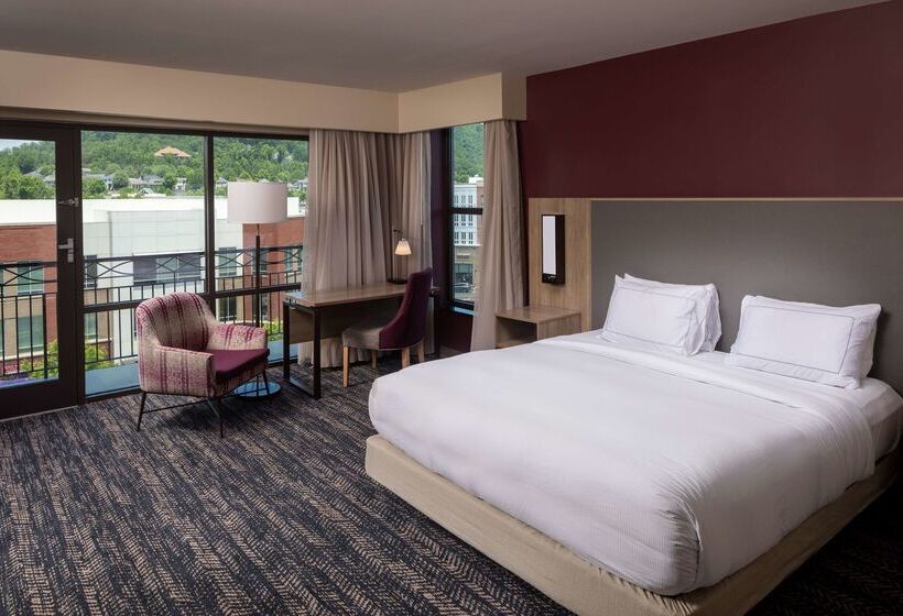 호텔 Hilton Asheville Biltmore Park