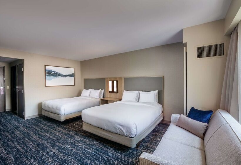 هتل Hilton Asheville Biltmore Park