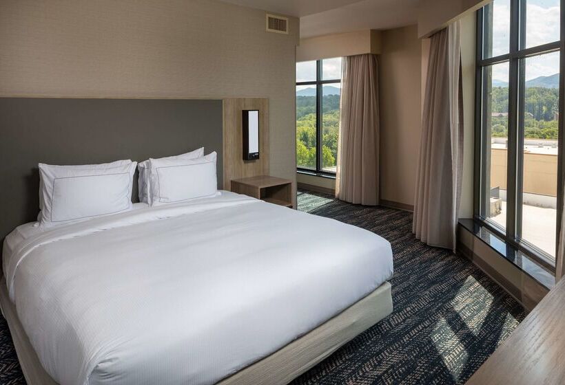 호텔 Hilton Asheville Biltmore Park