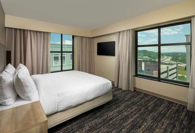 هتل Hilton Asheville Biltmore Park