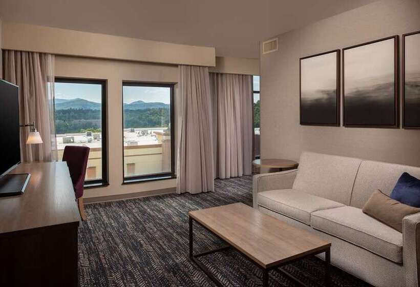 호텔 Hilton Asheville Biltmore Park