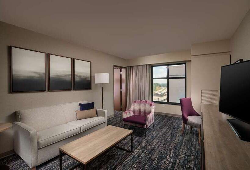 هتل Hilton Asheville Biltmore Park