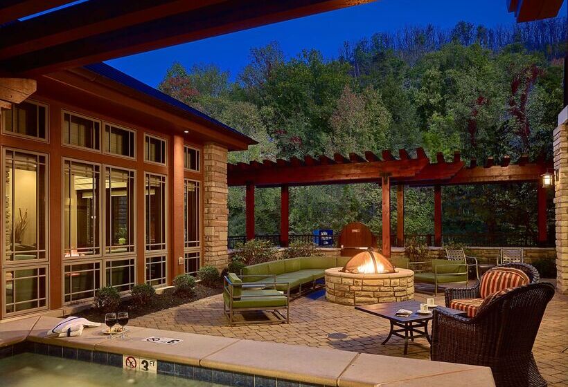 酒店 Hilton Garden Inn Gatlinburg