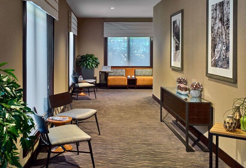 酒店 Hilton Garden Inn Gatlinburg