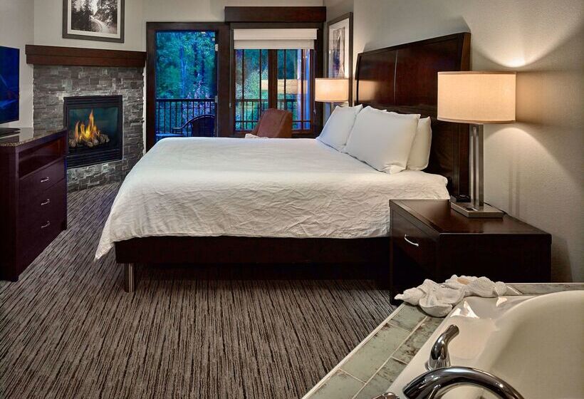 酒店 Hilton Garden Inn Gatlinburg