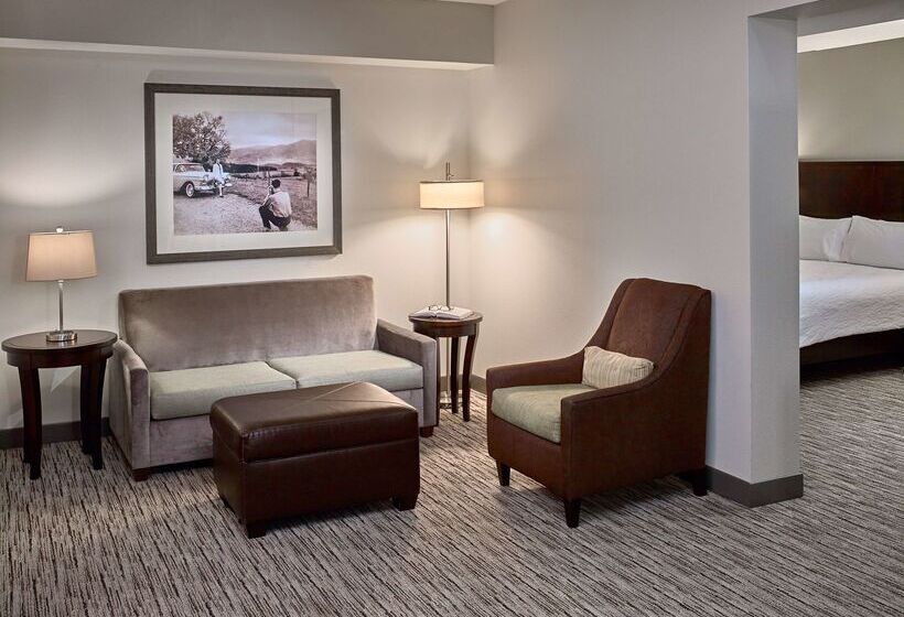 酒店 Hilton Garden Inn Gatlinburg