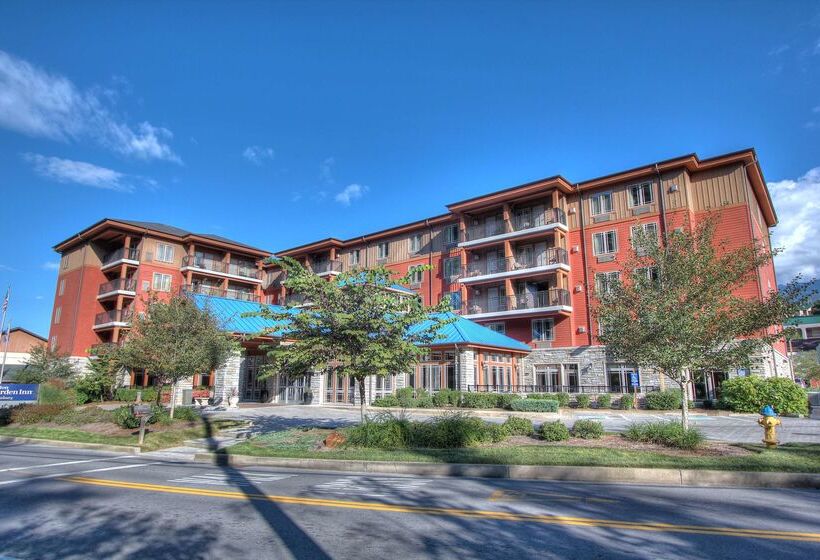 酒店 Hilton Garden Inn Gatlinburg