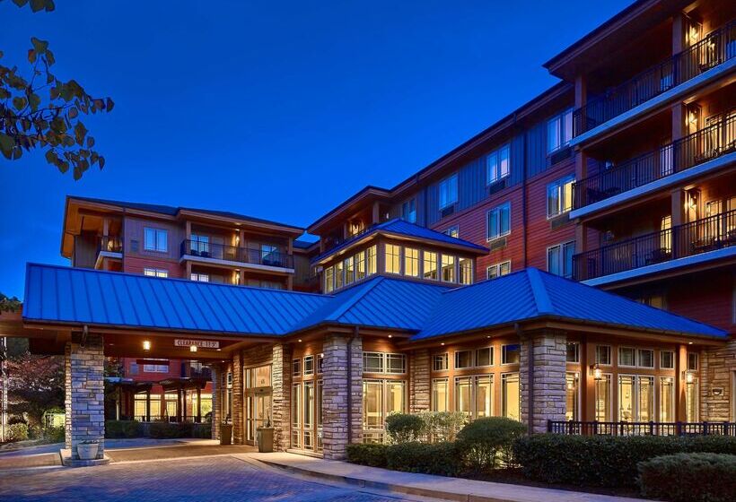 酒店 Hilton Garden Inn Gatlinburg