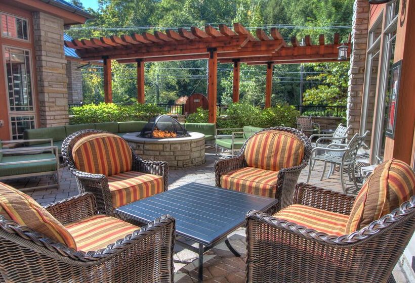 酒店 Hilton Garden Inn Gatlinburg