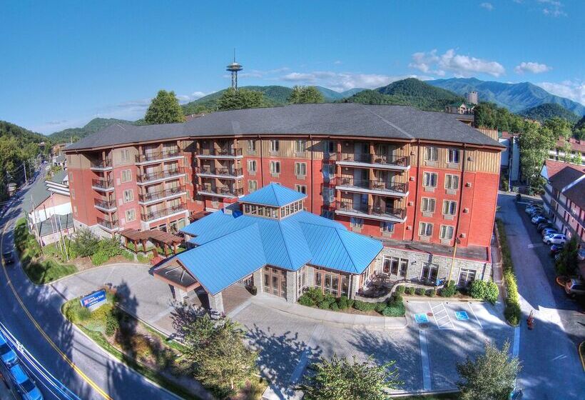 酒店 Hilton Garden Inn Gatlinburg
