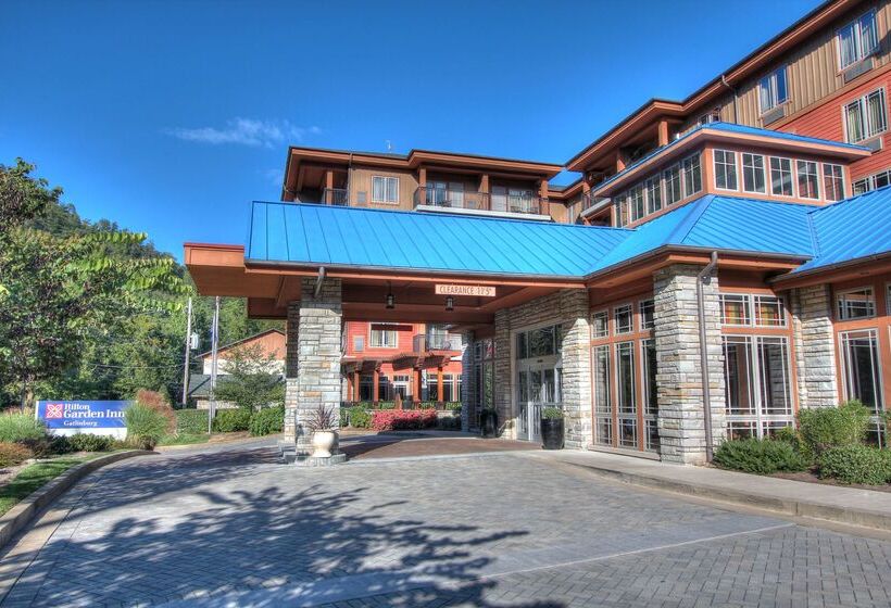 酒店 Hilton Garden Inn Gatlinburg