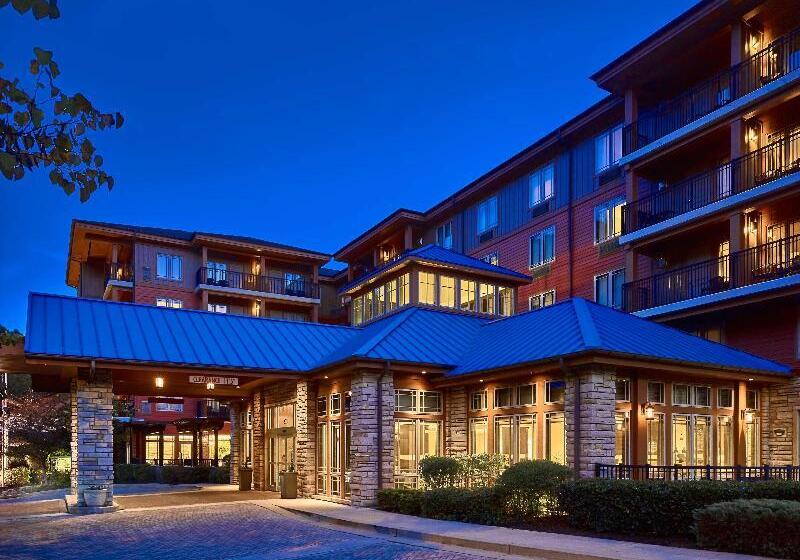 酒店 Hilton Garden Inn Gatlinburg