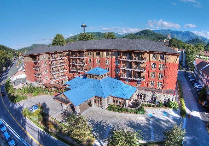 酒店 Hilton Garden Inn Gatlinburg