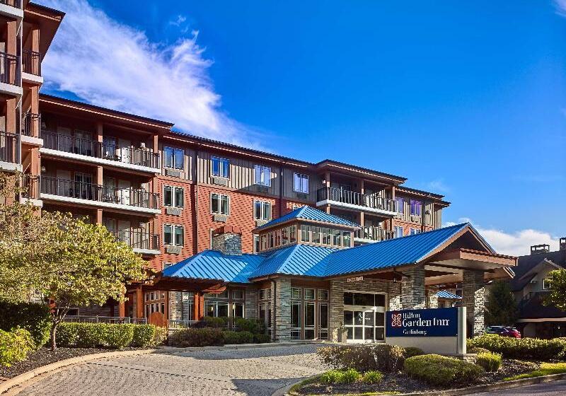 酒店 Hilton Garden Inn Gatlinburg