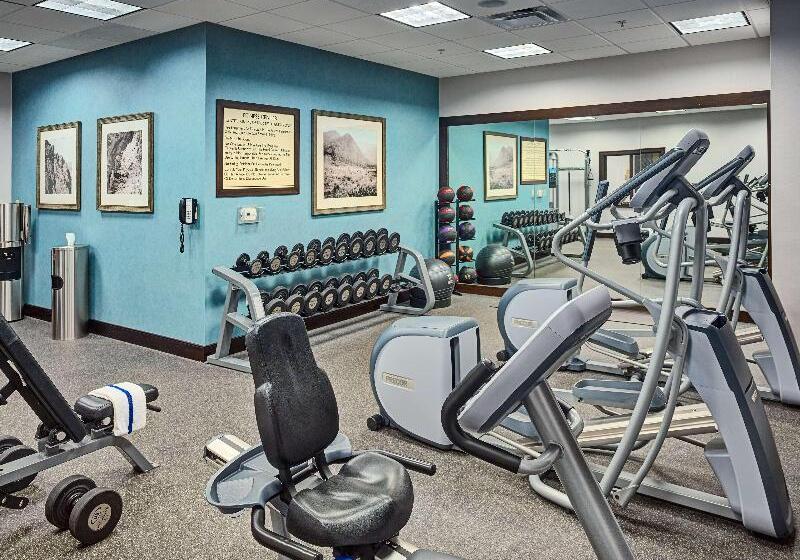 酒店 Hilton Garden Inn Gatlinburg