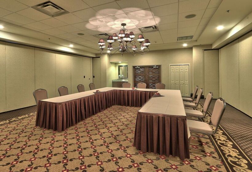 فندق Hilton Garden Inn Las Cruces