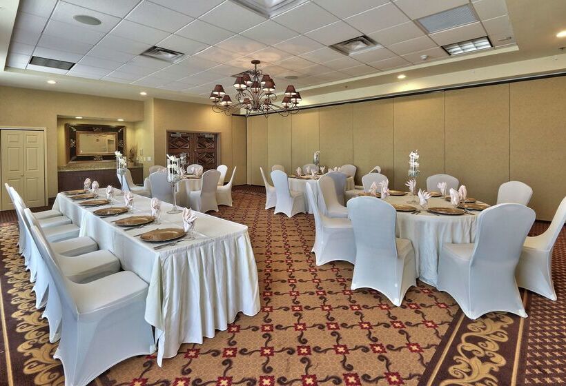 فندق Hilton Garden Inn Las Cruces