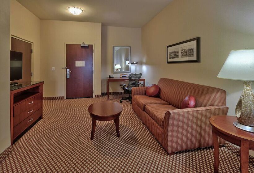 هتل Hilton Garden Inn Las Cruces