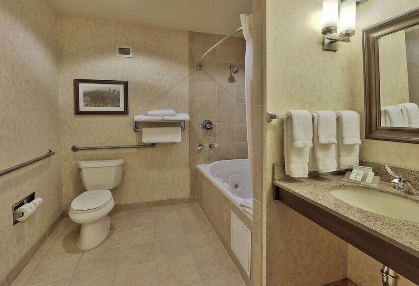 فندق Hilton Garden Inn Las Cruces