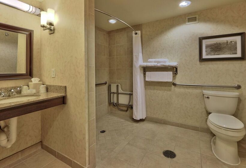 هتل Hilton Garden Inn Las Cruces