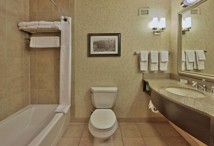 فندق Hilton Garden Inn Las Cruces