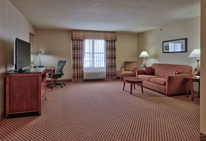 فندق Hilton Garden Inn Las Cruces