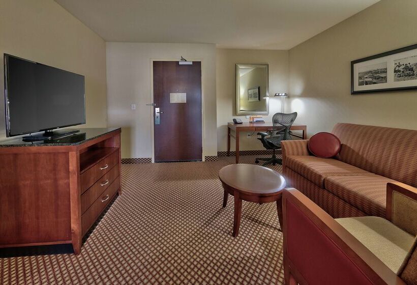 هتل Hilton Garden Inn Las Cruces