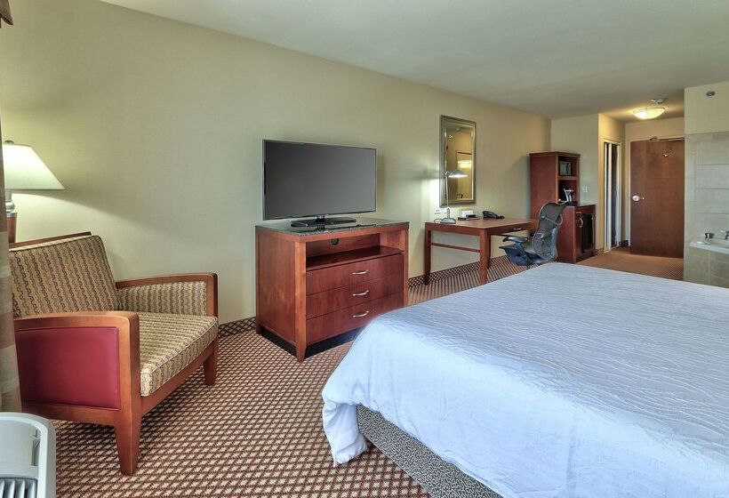 فندق Hilton Garden Inn Las Cruces