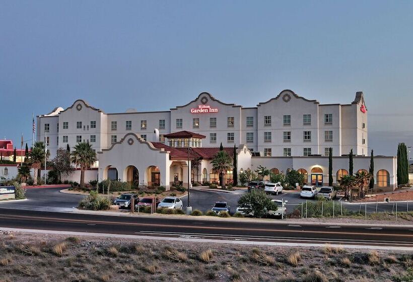 فندق Hilton Garden Inn Las Cruces