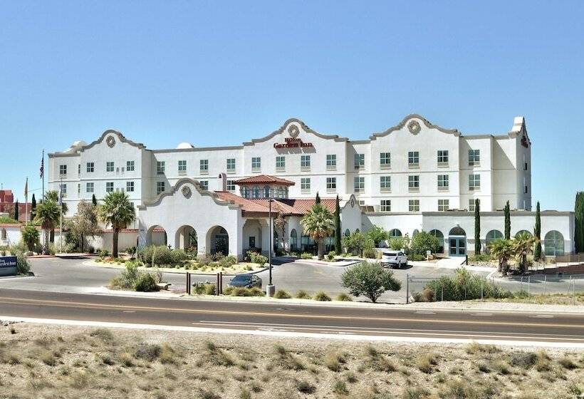 فندق Hilton Garden Inn Las Cruces