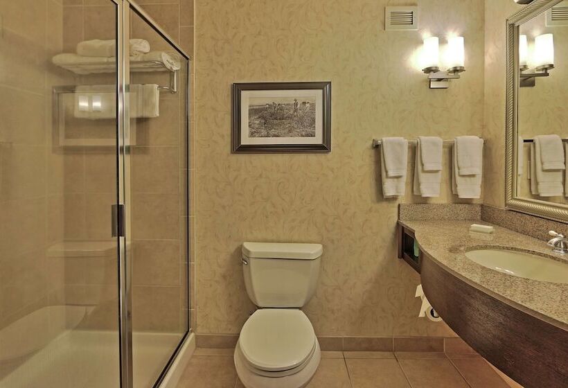 فندق Hilton Garden Inn Las Cruces