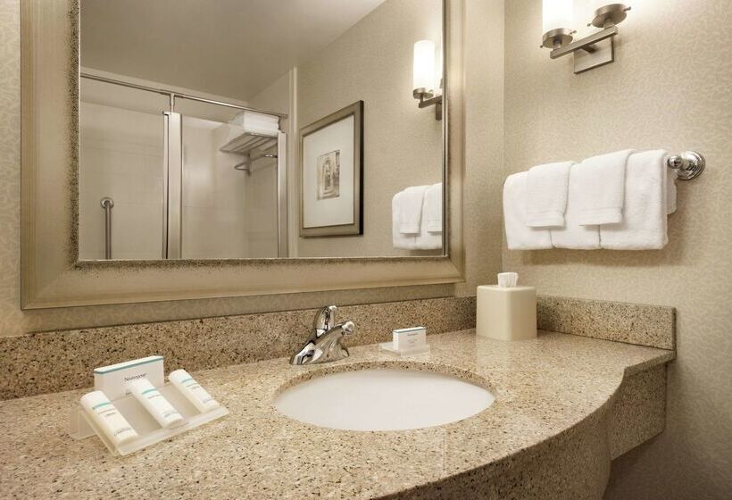 ホテル Hilton Garden Inn Minneapolis Downtown