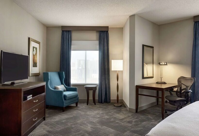 ホテル Hilton Garden Inn Minneapolis Downtown