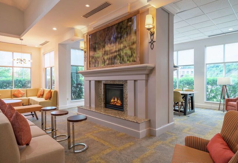 فندق Hilton Garden Inn Morgantown