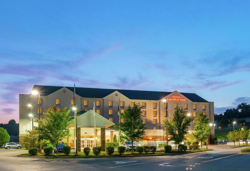 فندق Hilton Garden Inn Morgantown