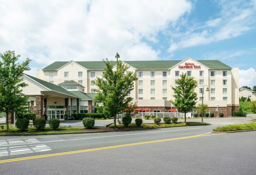 فندق Hilton Garden Inn Morgantown