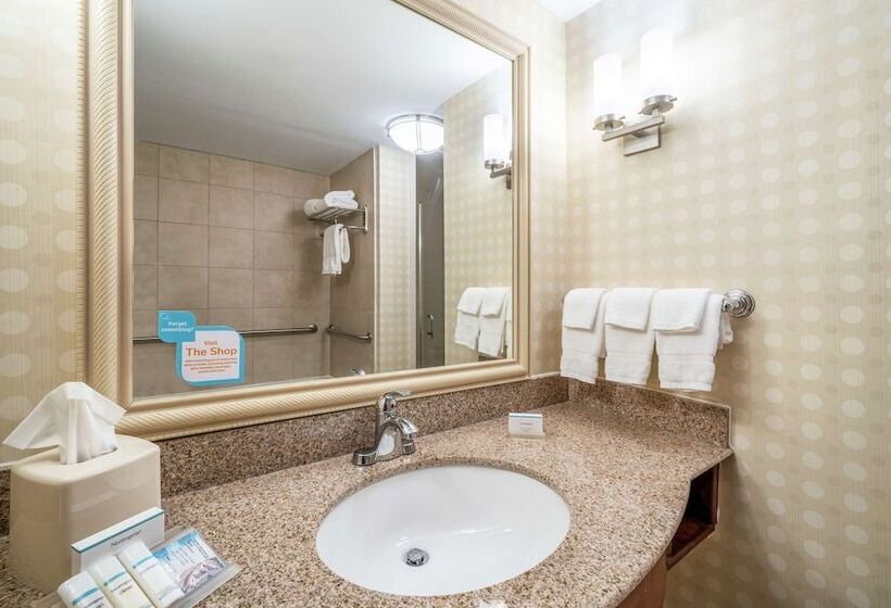 فندق Hilton Garden Inn Morgantown