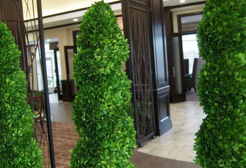 בית מלון כפרי Hilton Garden Inn New Braunfels