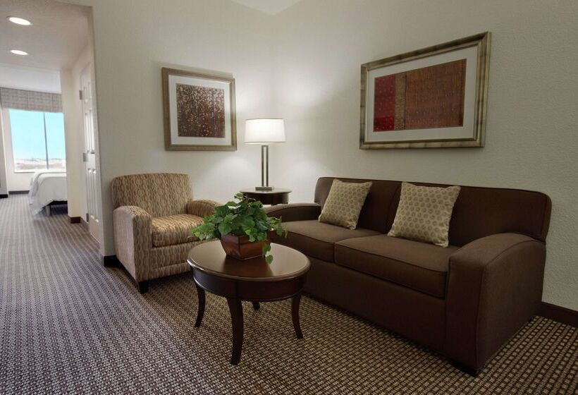 בית מלון כפרי Hilton Garden Inn New Braunfels