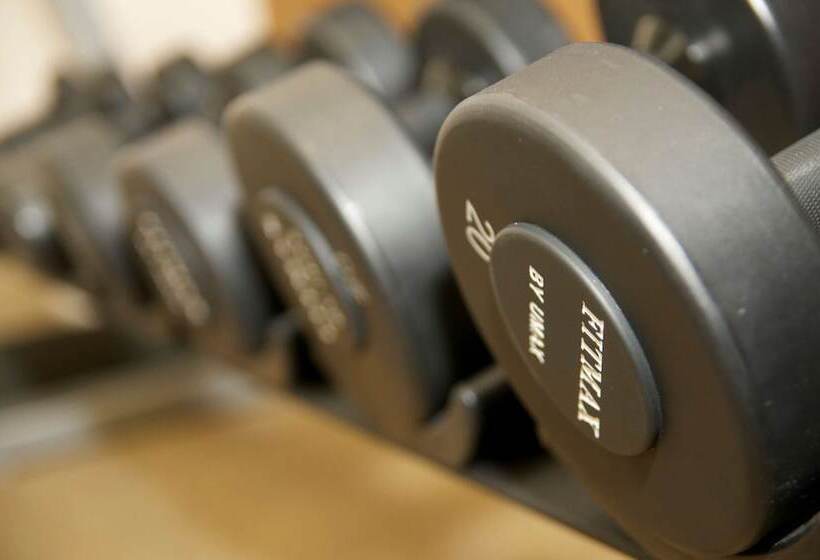 בית מלון כפרי Hilton Garden Inn New Braunfels