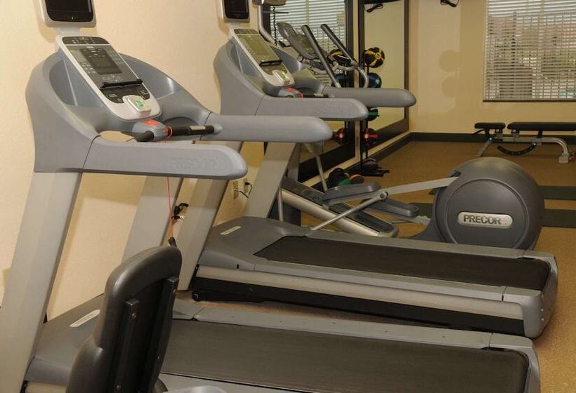 בית מלון כפרי Hilton Garden Inn New Braunfels