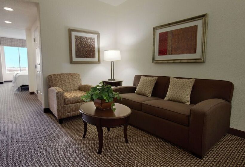 בית מלון כפרי Hilton Garden Inn New Braunfels