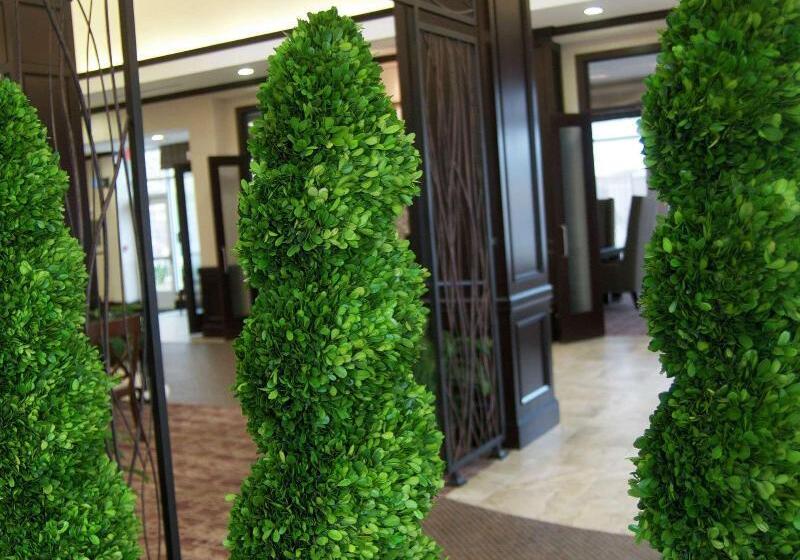 فندق Hilton Garden Inn New Braunfels