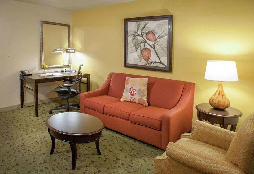 فندق Hilton Garden Inn Pensacola Airport Medical Center