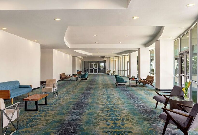 בית מלון כפרי Hilton Garden Inn South Padre Island Beachfront