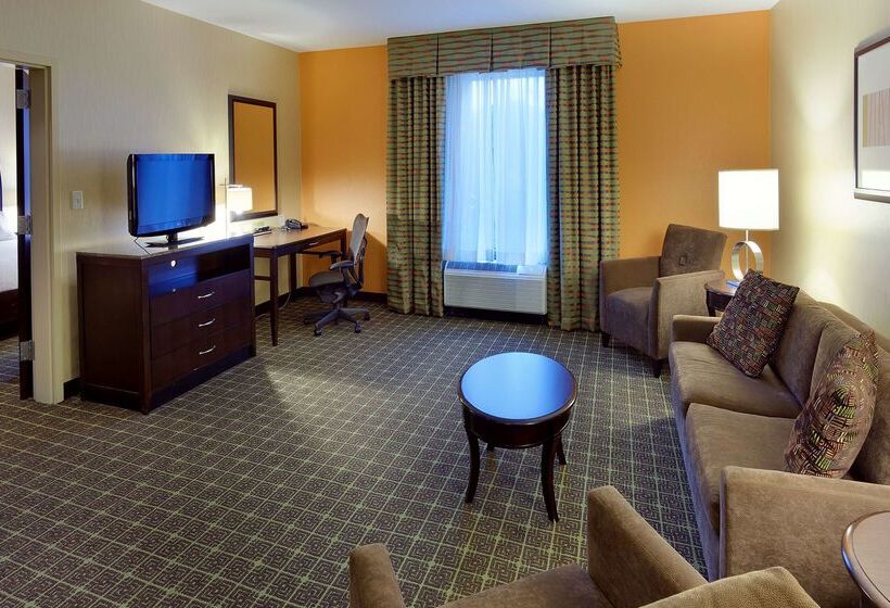 فندق Hilton Garden Inn Springfield, Mo