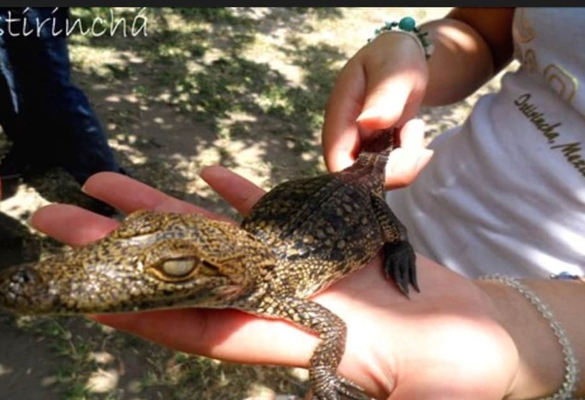 Отель Istirinchá