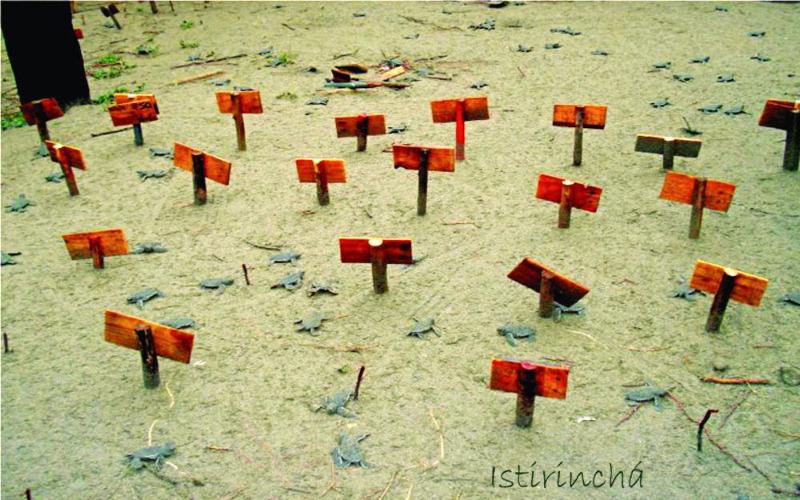 Отель Istirinchá