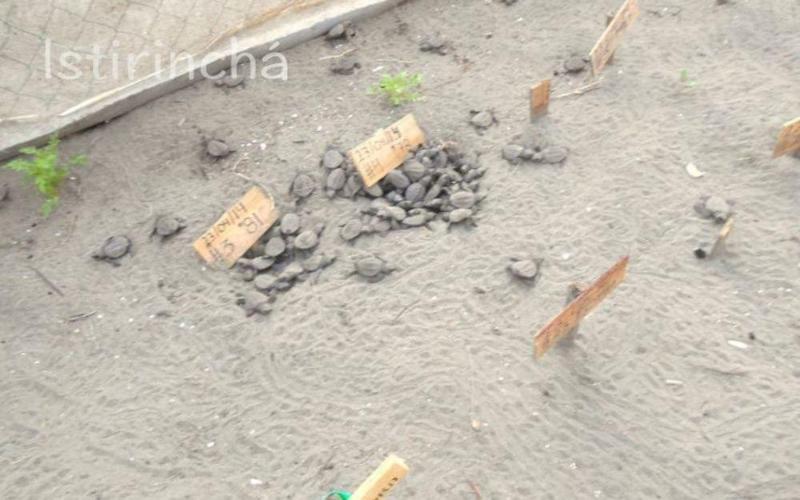 Отель Istirinchá